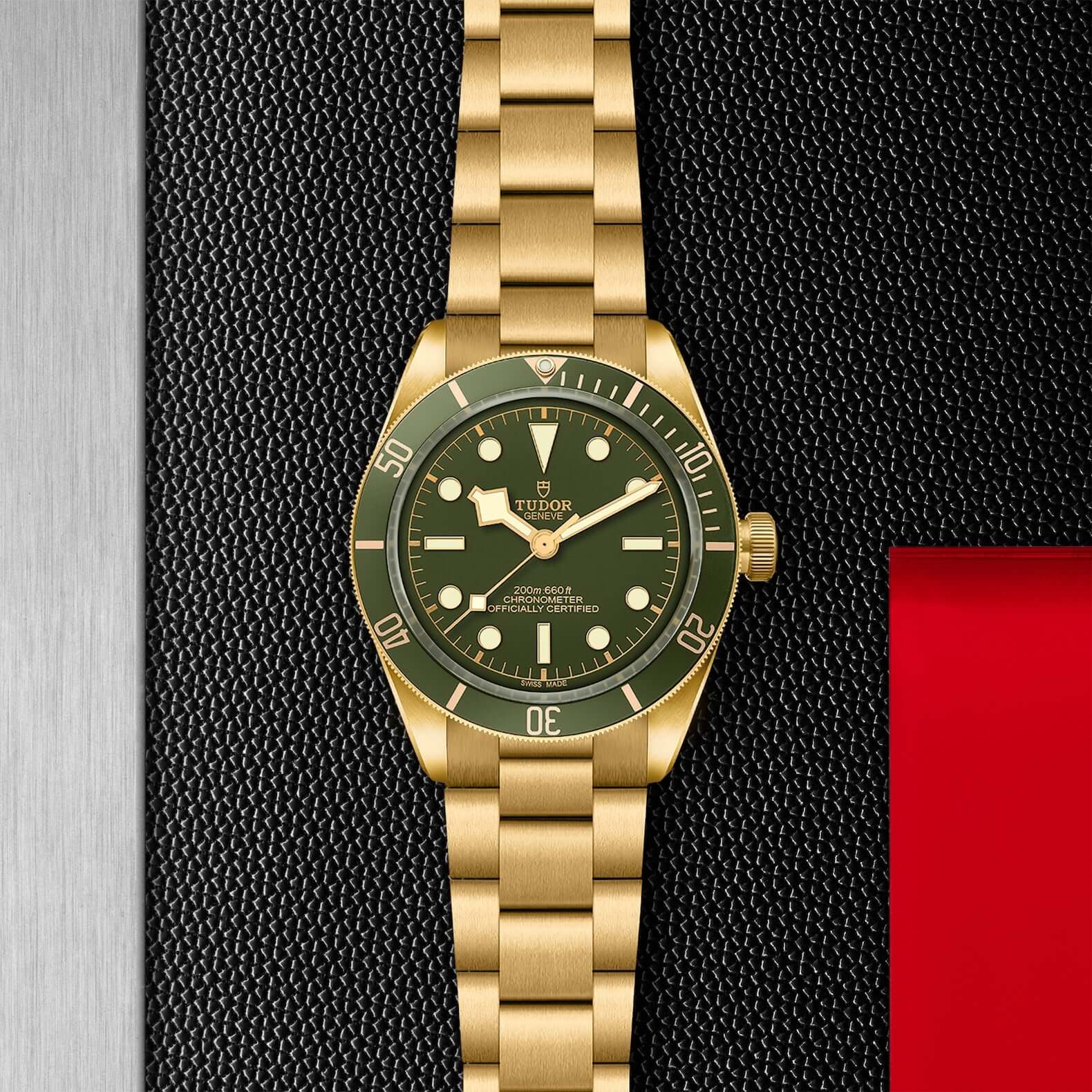 Tudor Black Bay Fifty-Eight 18K - Image 2