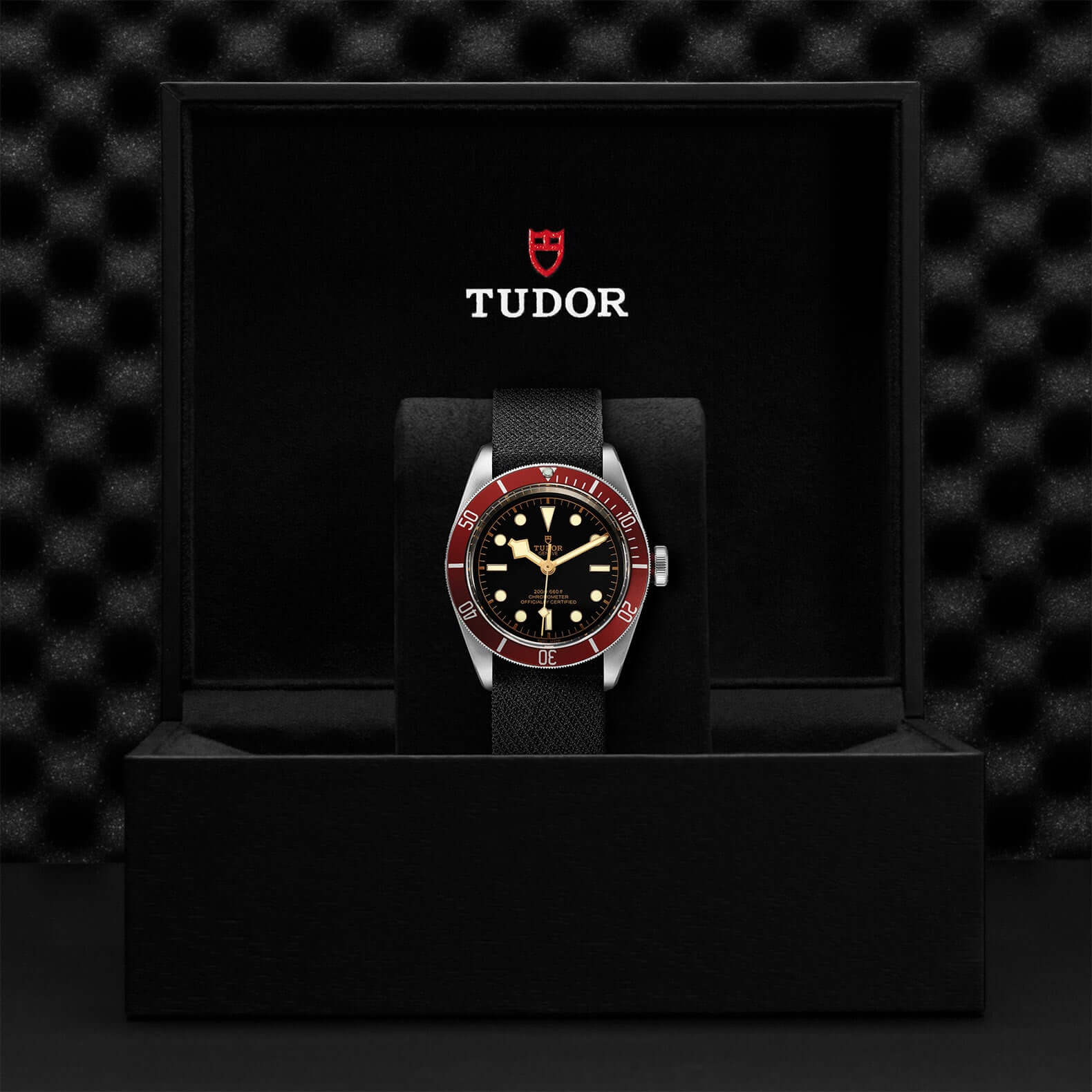 Tudor Black Bay - Image 3
