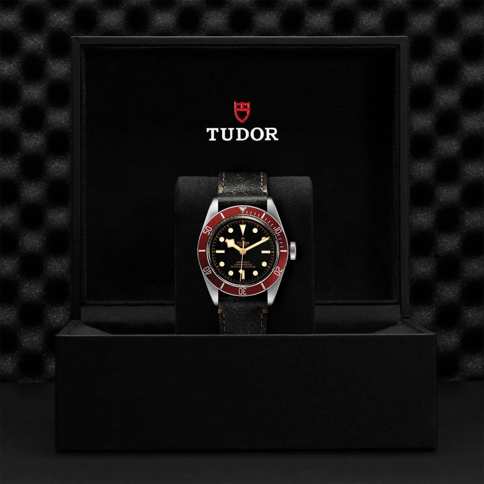 Tudor Black Bay - Image 3