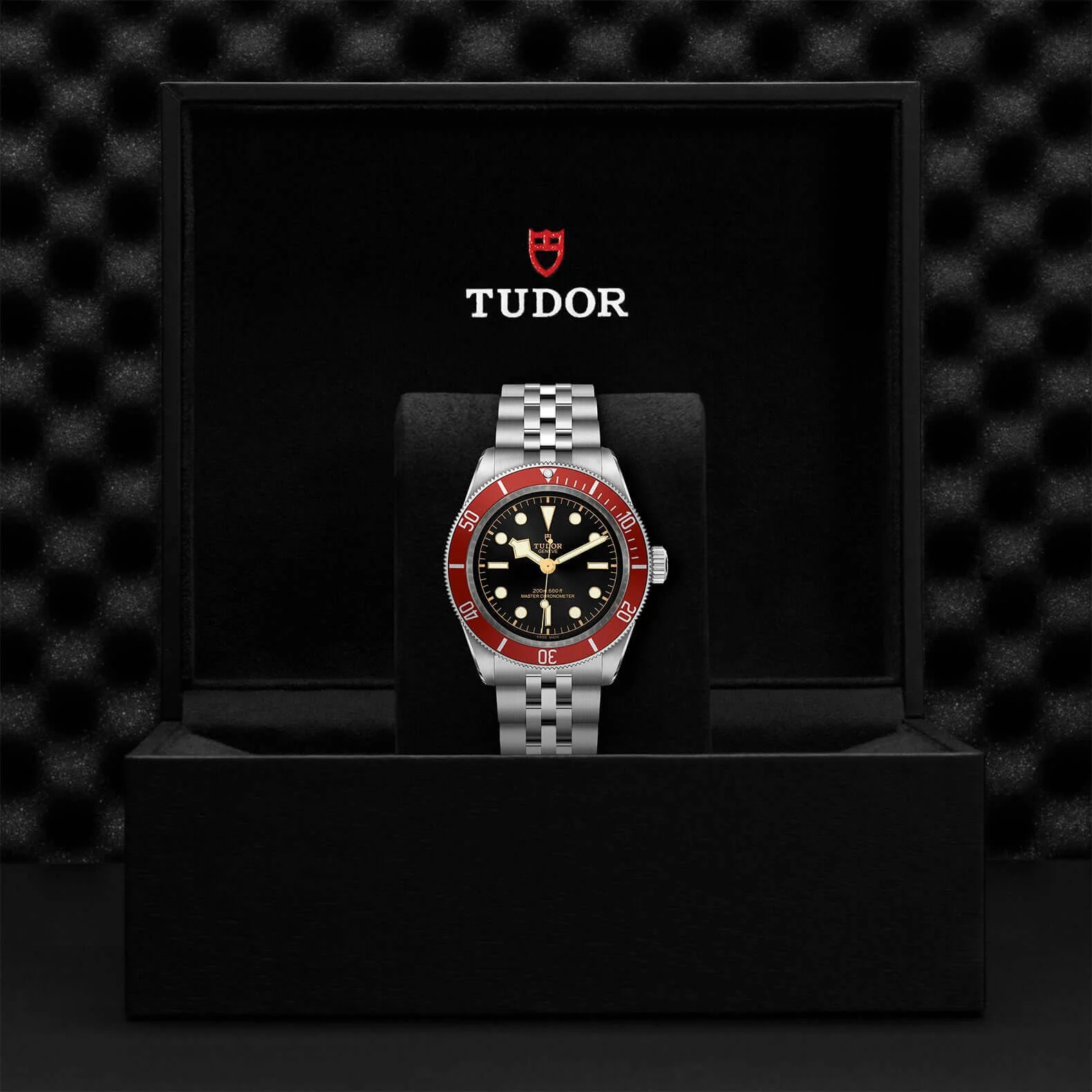 Tudor Black Bay - Image 4