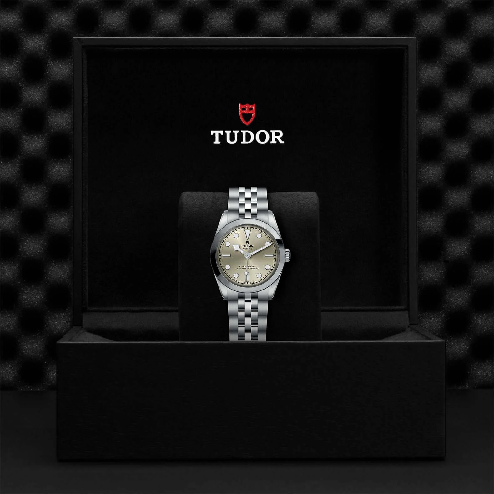 Tudor Black Bay One 31 - Image 4