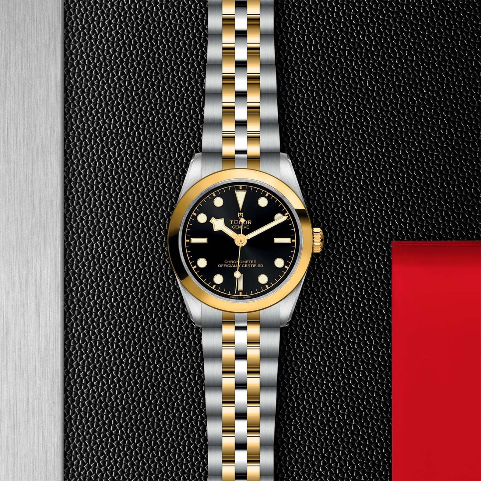 Tudor Black Bay One 31 S&G - Image 2