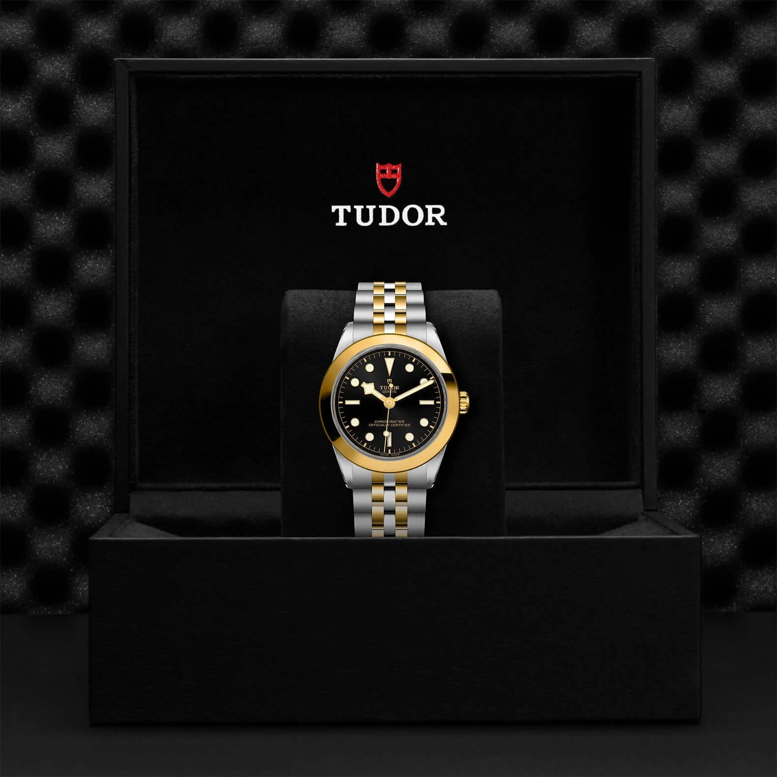 Tudor Black Bay One 39 S&G - Image 3