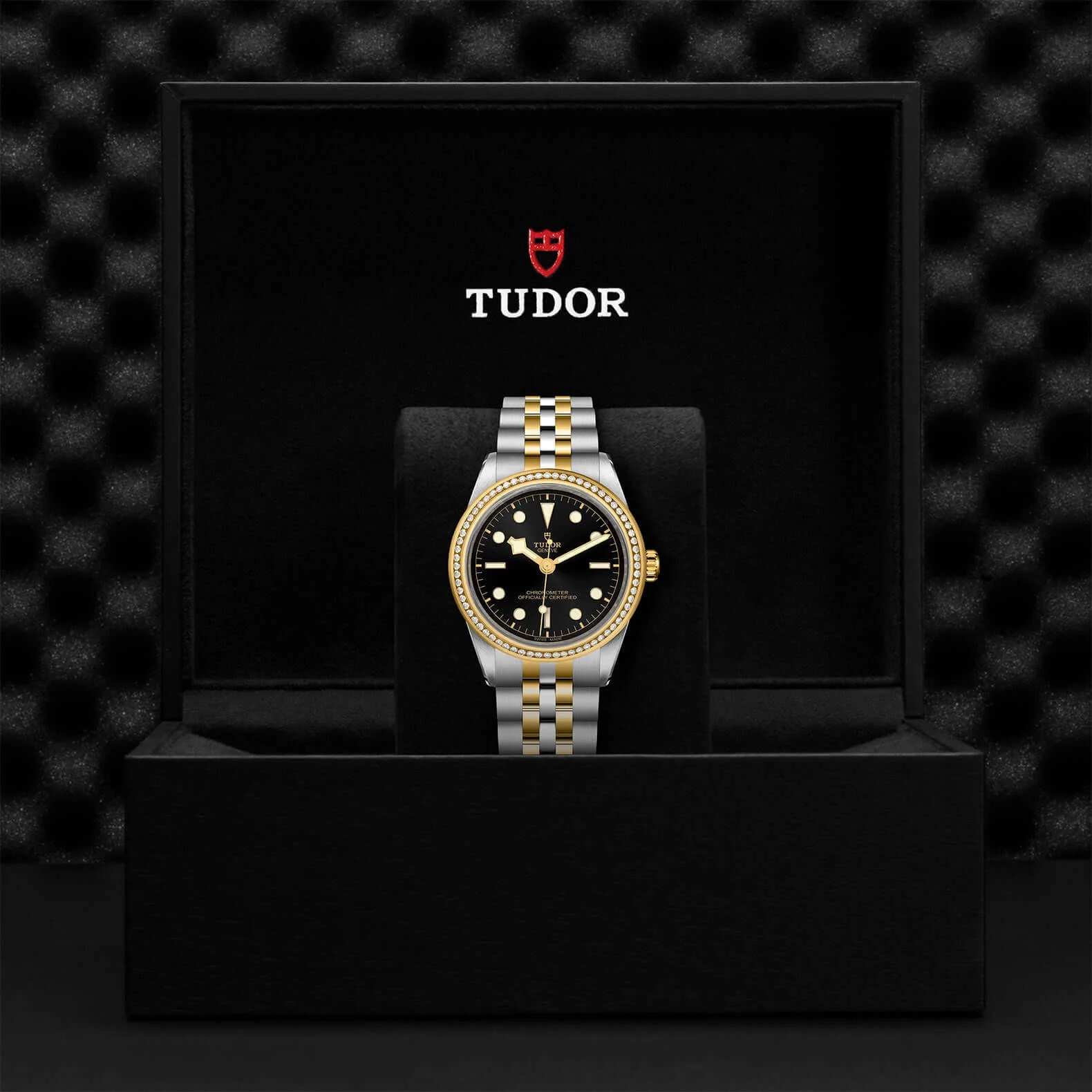 Tudor Black Bay One 39 S&G - Image 3