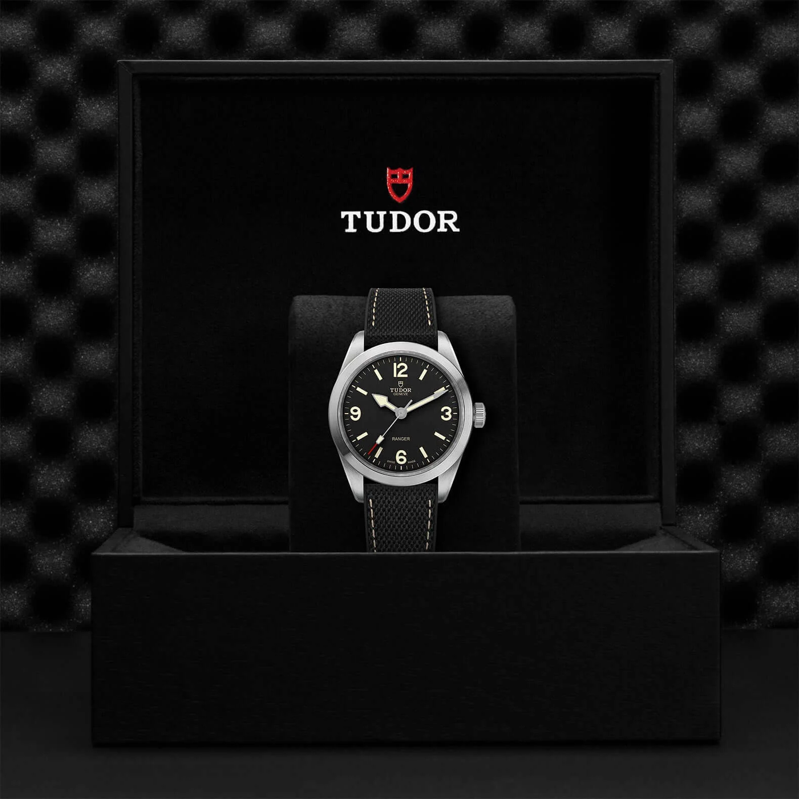 Tudor Ranger - Image 4